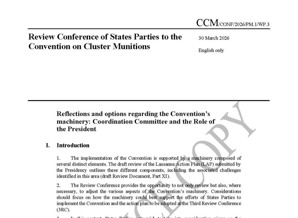 Working Paper 3: Reflections and options regarding the Convention’s machinery: Coordination Committee and the Role of the President