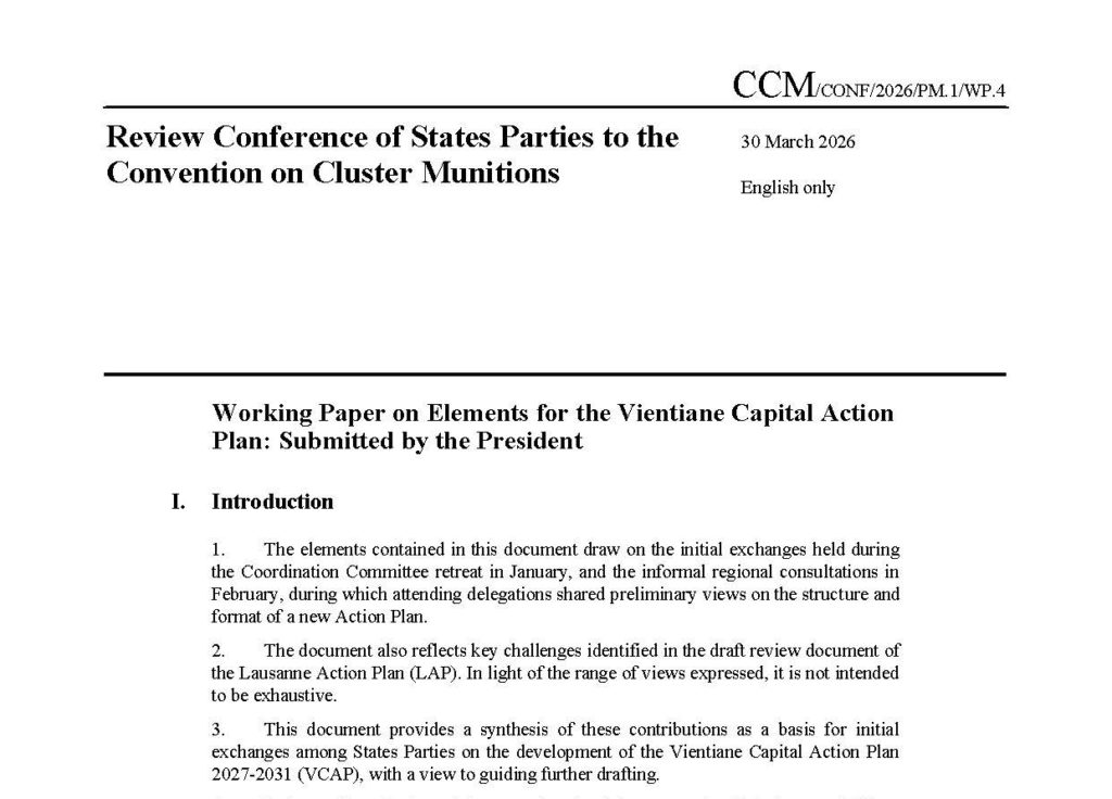 Working Paper 4: Elements for the Vientiane Capital Action Plan