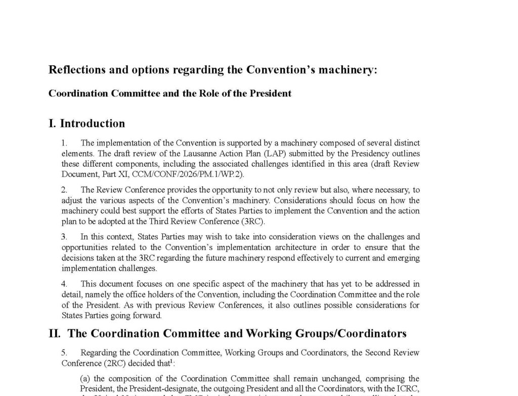 Working Paper: Reflections and Options on Coordination Committee and the Role of the President