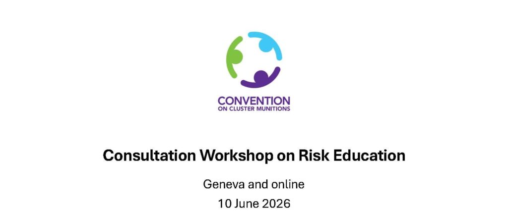 Consultation Workshop on Risk Education